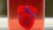 The World's First 3D-Printed Heart Model
