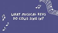 Cheesy, LOL Music Jokes Your Students Will Love