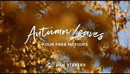 Autumn Leaves - 4 FREE Backgrounds