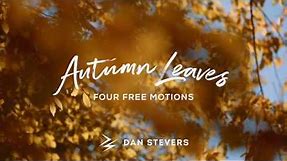 Autumn Leaves - 4 FREE Backgrounds