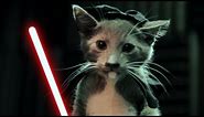 Jedi Kittens Strike Back