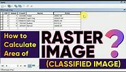 How to Calculate Area of Raster Image (Classified Image) | How to Calculate Raster Area in ArcGIS