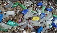 Ted Talks - Great Pacific Garbage Patch
