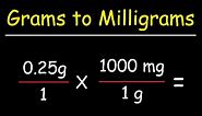 How To Convert From Grams to Milligrams - g to mg