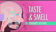 Taste & Smell: Crash Course Anatomy & Physiology #16