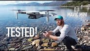 DJI MAVIC MINI - BEST Drone for the PRICE! (2.7K Footage)