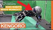 Sweating Humanoid Robot Kengoro