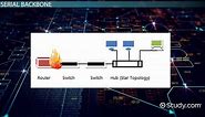 Backbone Networks: Types & Uses