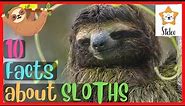 SLOTHS for Kids | 10 interesting facts about SLOTHS