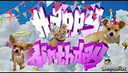 HAPPY BIRTHDAY - Chihuahua Dog [ For Her ]