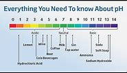 Using a pH Meter - Everything You Need to Know About pH