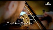 Violins vs Violas: What Are The Major Differences Between Bows? | David Auerbach for CodaBow