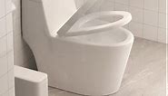 HOROW 1-piece 0.8/1.28 GPF Dual Flush Elongated Toilet in White, Seat Included HR-0080