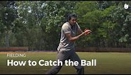How to Catch the Ball | Cricket