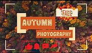 35+ Aesthetic Minimalist Fall Backgrounds Wallpaper, Fall Tumbler Wraps, Find Link in Description..