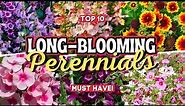 10 Long Blooming Perennial Flowers: Add Vibrant Colors to Your Garden All Season Long 👌🌻💚