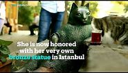 Tombili the Cat’s legacy set in bronze