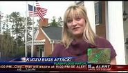 Kudzu Bugs in Atlanta, GA: Identification & Control by Arrow Exterminators