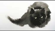 Watercolor Black Cat Tutorial - Wet in Wet technique