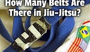 Jiu-Jitsu Belt System Guide (BJJ and Japanese Belts)