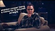 Sheldon Cooper being a meme for 6 minutes straight