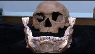 Researchers find oldest Homo sapien remains yet