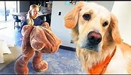 DOG TOY COMES TO LIFE! (Giant 6ft Teddy Bear)