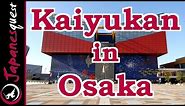 Osaka Aquarium Kaiyukan Tour! | Video Japan Guide