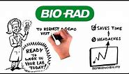 Automate Your Multi-Column Protein Purification Workflow with NGC™ Multi-D Chromatography