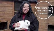 Does it matter how we treat animals? – KS3 Religious Studies – BBC Bitesize - BBC Bitesize