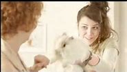 Vip reklama 2012 - Nezni Dalibor