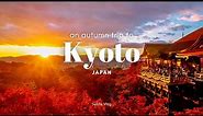 Autumn trip to #Kyoto Japan | autumn leaves & light up, cafe hopping | JAPAN VLOG