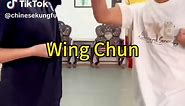 Wing Chun Basic Skills Training#foryou #fyp #chinesekungfu #Wingchun #tiktok