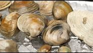 Clams 101 - Kitchen Conundrums with Thomas Joseph