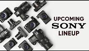 Sony's New Camera Lineup!