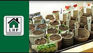 Seed Starting Basics Made Easy - Paper Pots and Jiffy Pots - LHP
