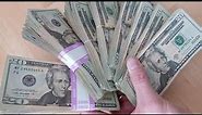 $10,000 real cash (all $20 bills) - COUNTED FAST!
