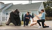 All Gorilla glue ads