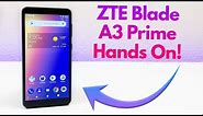 ZTE Blade A3 Prime - Hands On & First Impressions!
