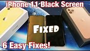 iPhone 11 / 11 Pro Max: Black Screen FIXED! Try these 6 Easy Solutions First!