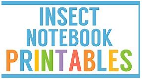 Free Insects Worksheets - Homeschool Share