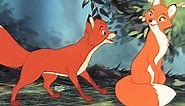 25 The Fox and the Hound Quotes on Friendship & Differences