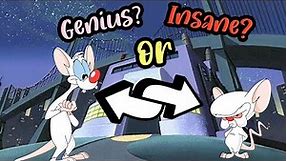 Who’s the Genius, Who’s Insane? Pinky and the Brain Theory