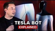 Tesla Bot explained