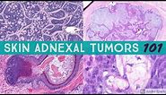 Skin Adnexal Tumors 101: A Basic Approach for General Pathologists