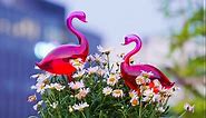 Self-Watering Glass Globes 2PCS Flamingo Gradient Hot Pink 10" Long Hand Blown Bulbs Pot Plant Waterer Home Indoor Outdoor Garden Patio Hanging Flower Aqua Spike Decorative Automatic Irrigation System