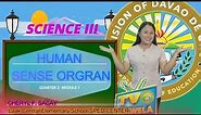 SCIENCE 3 (Quarter 2): Human Sense Organ