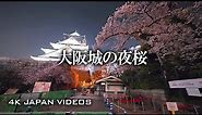 4K 大阪城の夜桜散歩 大阪 - Sony A7S III - Osaka Castle Night Cherry Blossoms (March,2021) Osaka,Japan