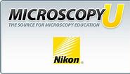 Introduction to Charge-Coupled Devices (CCDs)