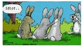 72 Funny Easter Memes That Will Crack Any Bunny Up